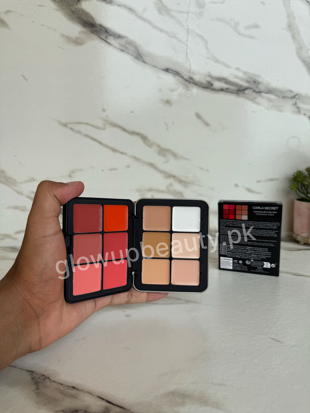CARLA SECRET CREAMY BLUSH AND CONCEAL PALETTE.