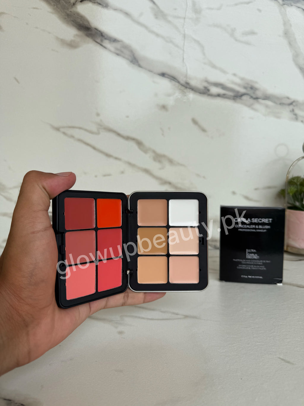 CARLA SECRET CREAMY BLUSH AND CONCEAL PALETTE.