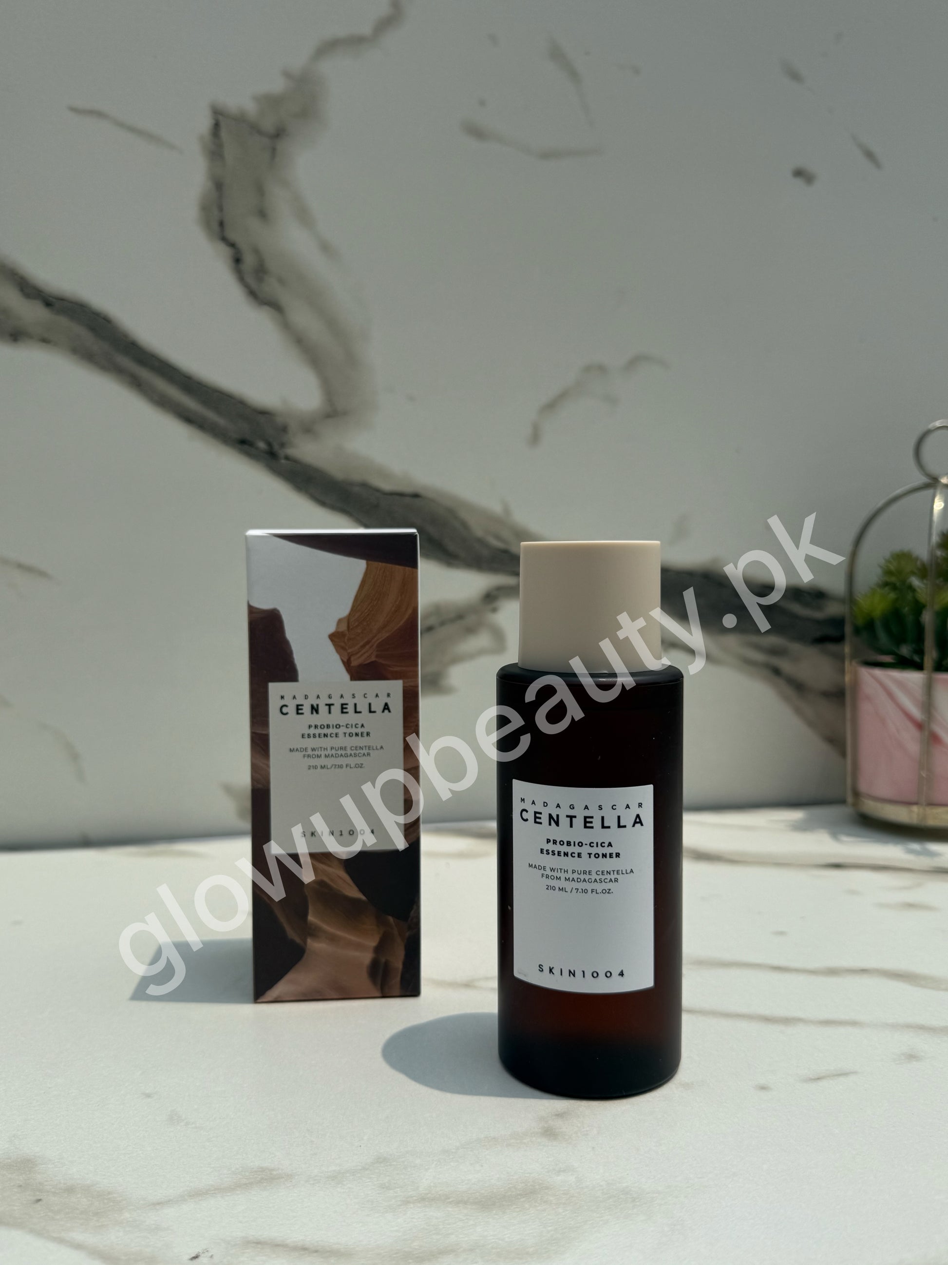 SKIN1004 MADAGASCAR CENTELLA PROBIO-CICA ESSENCE TONER 210 ML